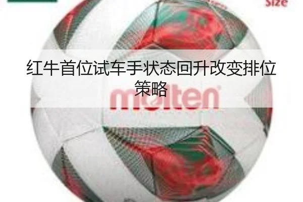 红牛首位试车手状态回升改变排位策略 - haomen