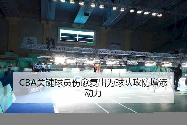 CBA关键球员伤愈复出为球队攻防增添动力 - haomen